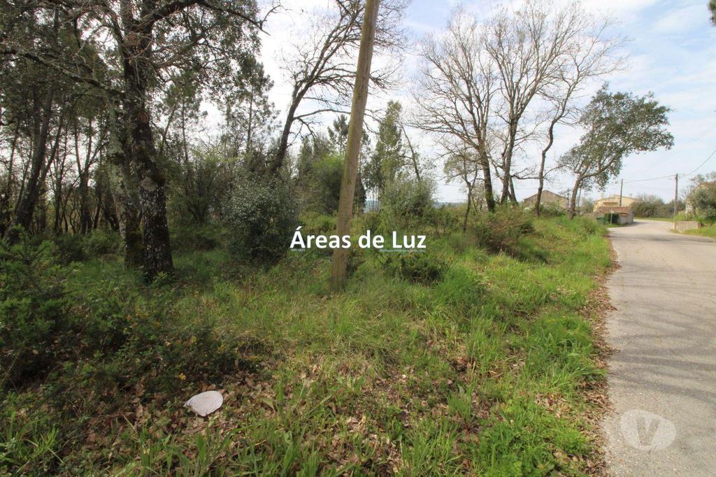 Terrenos Ansião - Fotos para Ansiao-Terreno para Construção com 2605 m2 - Avelar (3437 23)