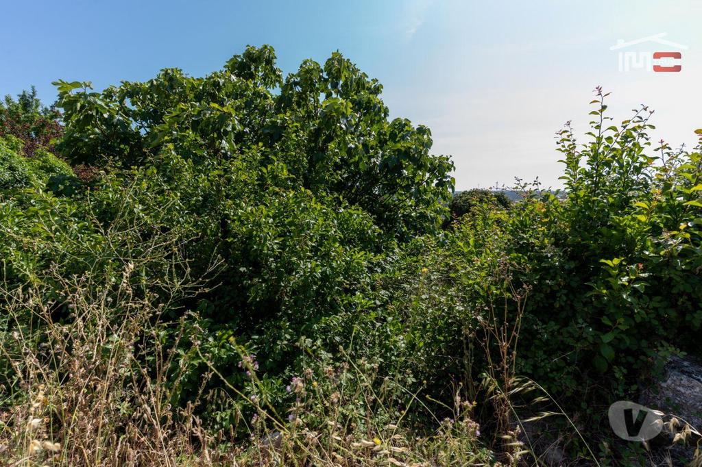 Terrenos Ourém - Fotos para Ourem-Terreno com 4.000 m2 em Fátima (1-T-000570)