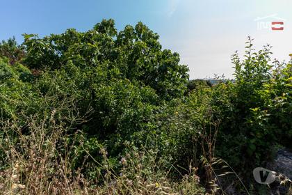 Terrenos - Fotos para Ourem-Terreno com 4.000 m2 em Fátima (1-T-000570)