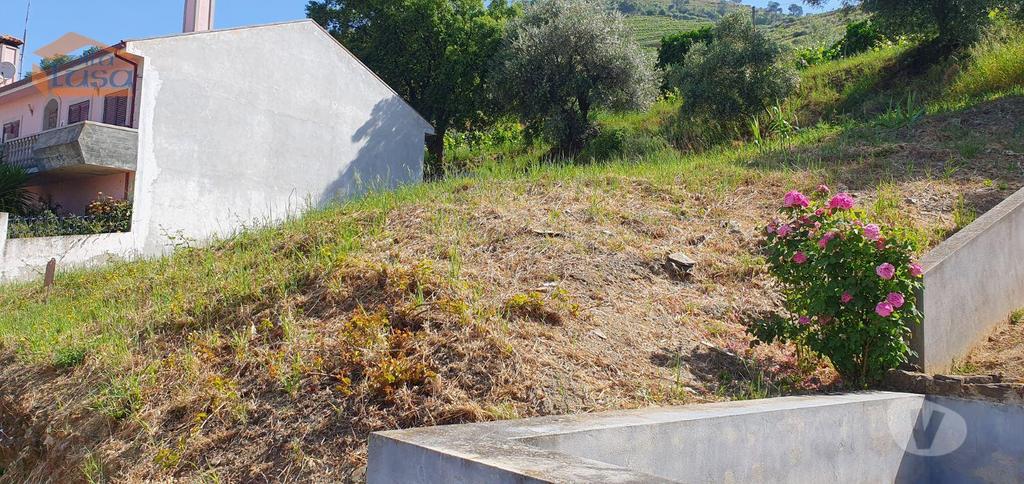 Terrenos Armamar - Fotos para Armamar-Terreno no Douro - Lameirão - Folgosa (803231004)