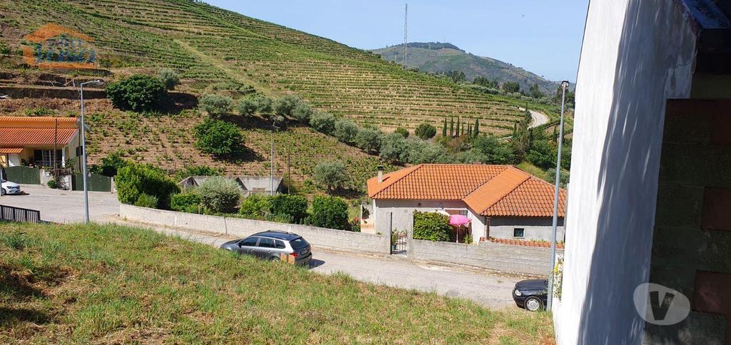 Terrenos Armamar - Fotos para Armamar-Terreno no Douro - Lameirão - Folgosa (803231004)