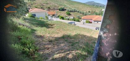 Terrenos a venda - Fotos para Armamar-Terreno no Douro - Lameirão - Folgosa (803231004)