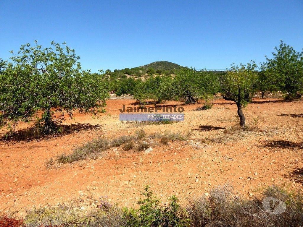 Terrenos Faro - Fotos para Casa, Quinta, 31.500m2, em Estói. Portugal, Faro, Estói. (9318_Q)