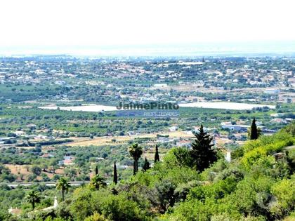 Terrenos - Fotos para Casa, Quinta, 31.500m2, em Estói. Portugal, Faro, Estói. (9318_Q)