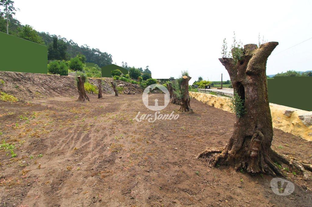 Apartamentos a venda Barcelos - Fotos para Barcelos-Moradia rústica em pedra em Barcelos (265-M-01281)