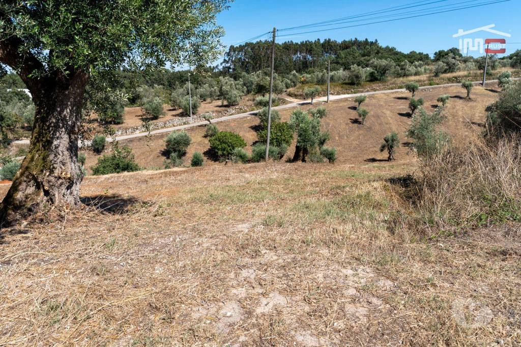 Terrenos Ourém - Fotos para TERRENO URBANO COM AREA 5020 M2 EM FONTAINHAS DA SERRA -