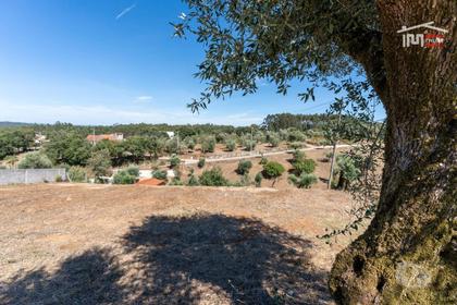 Terrenos - Fotos para TERRENO URBANO COM AREA 5020 M2 EM FONTAINHAS DA SERRA -