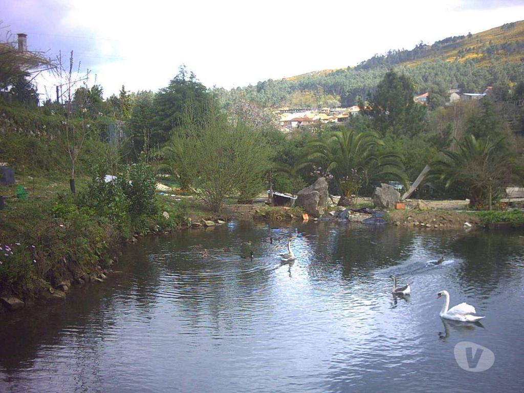 Terrenos Monção - Fotos para Moncao-Quinta Melgaço - Turismo Rural (Q-00695)