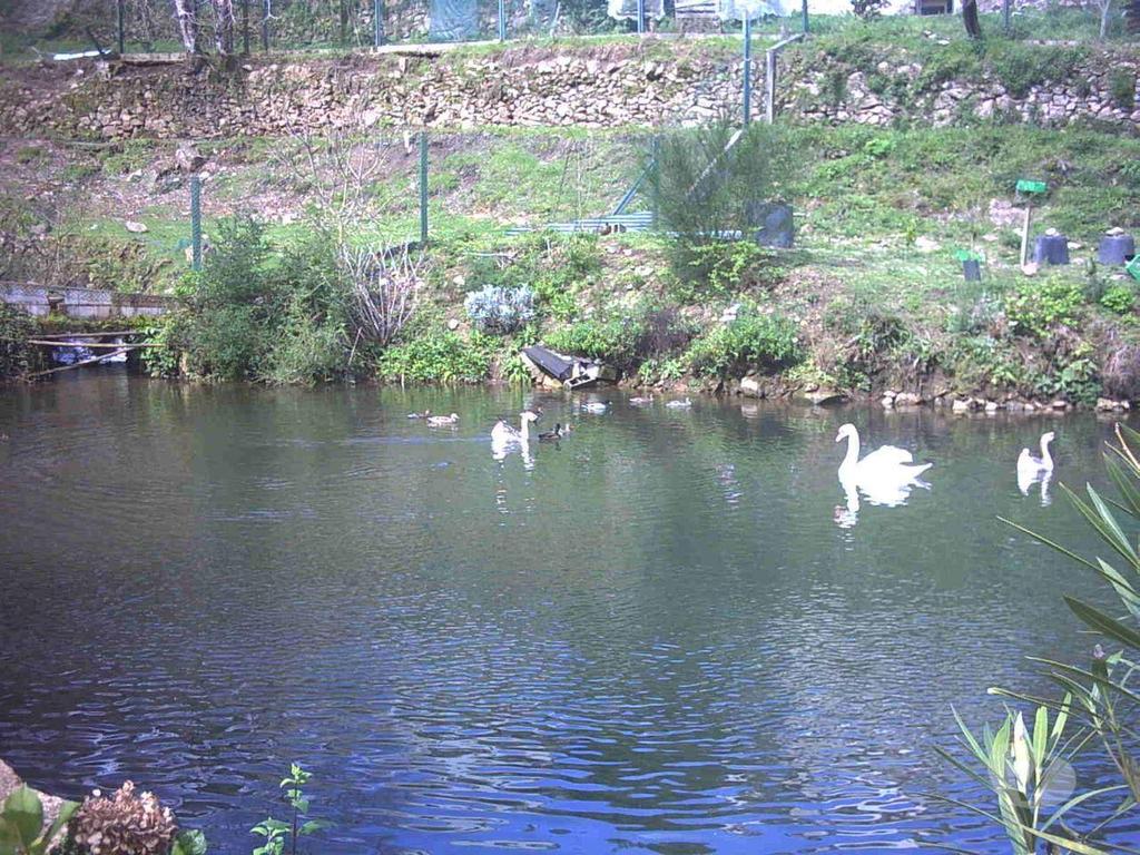 Terrenos Monção - Fotos para Moncao-Quinta Melgaço - Turismo Rural (Q-00695)