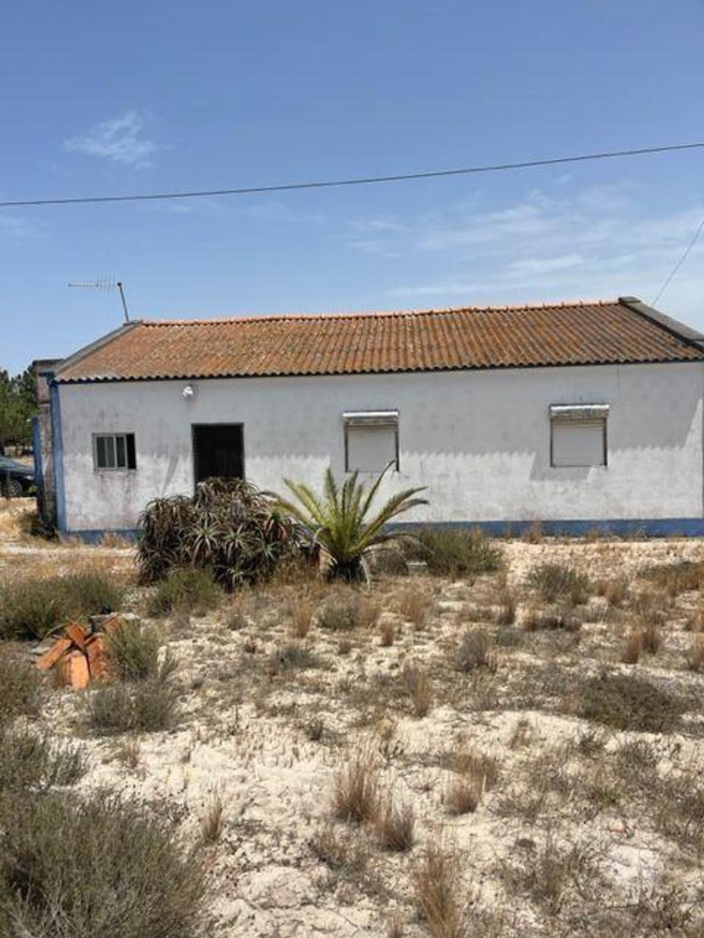 Apartamentos a venda Alcácer do Sal - Fotos para Alcacer-do-sal-Duas Moradias em Cambado-Herdade da Comporta (247)