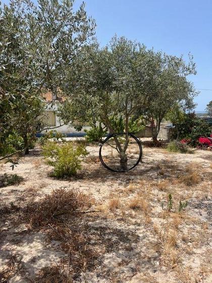 Apartamentos a venda - Fotos para Alcacer-do-sal-Duas Moradias em Cambado-Herdade da Comporta (247)
