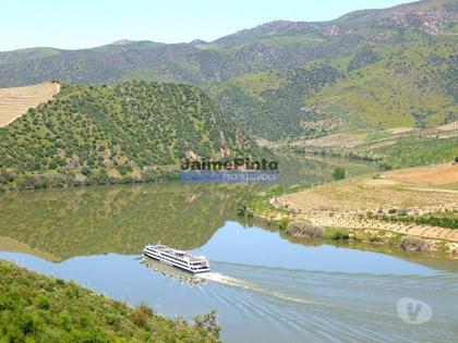 Terrenos - Fotos para Propriedade 100HA, junto rio DOURO, VINHA, Adega. Portugal,