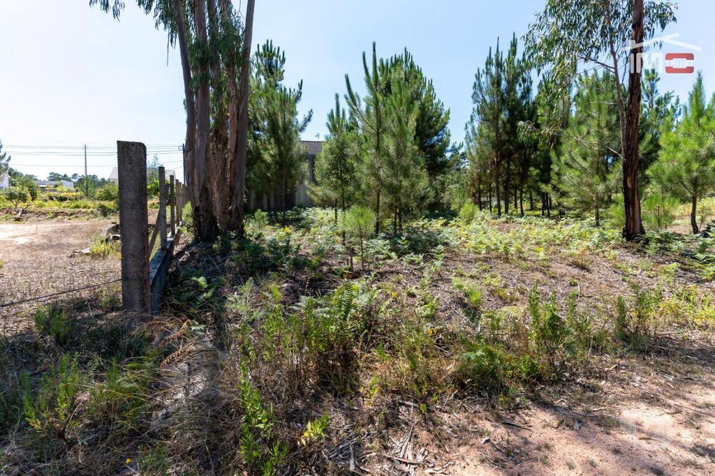 Terrenos Ourém - Fotos para Excelente Terreno com 1560 M2 com possibilidade de construção