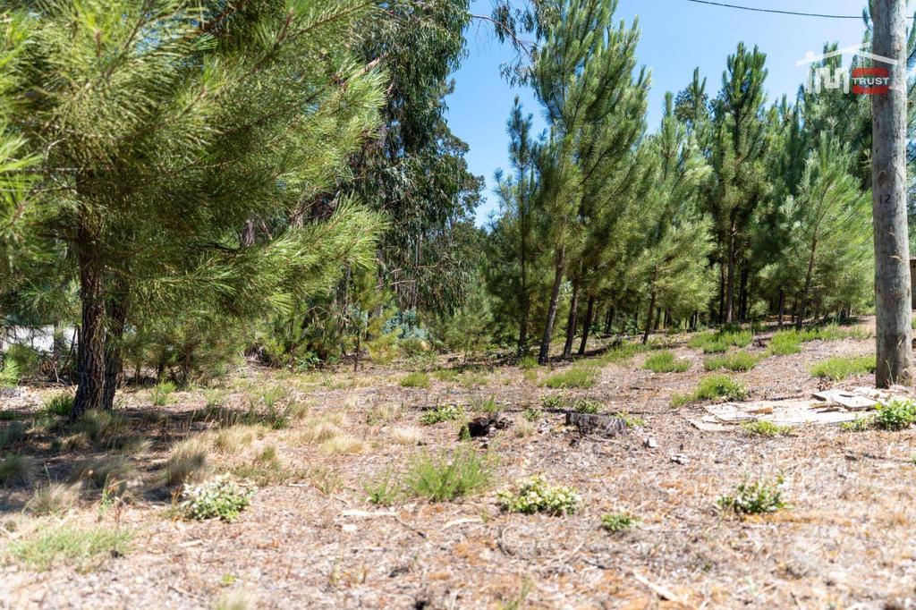 Terrenos Ourém - Fotos para Excelente Terreno com 1560 M2 com possibilidade de construção