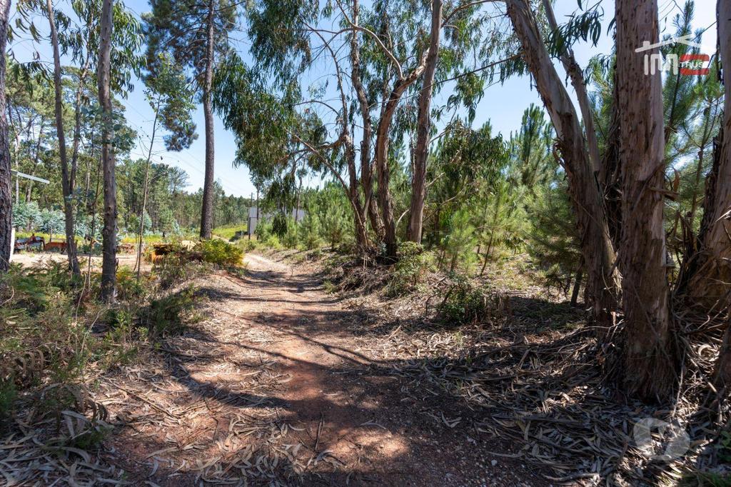 Terrenos Ourém - Fotos para Excelente Terreno com 1560 M2 com possibilidade de construção