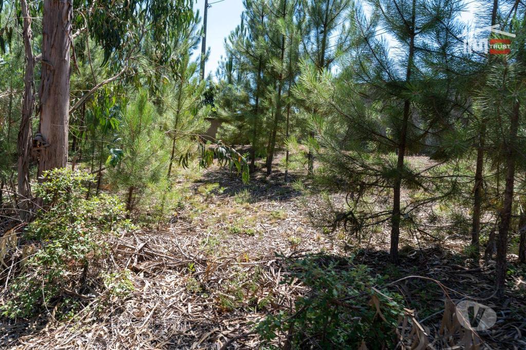 Terrenos Ourém - Fotos para Excelente Terreno com 1560 M2 com possibilidade de construção