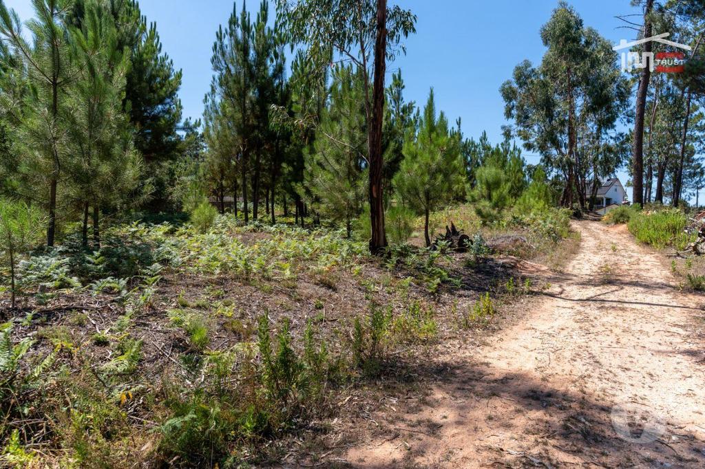 Terrenos Ourém - Fotos para Excelente Terreno com 1560 M2 com possibilidade de construção