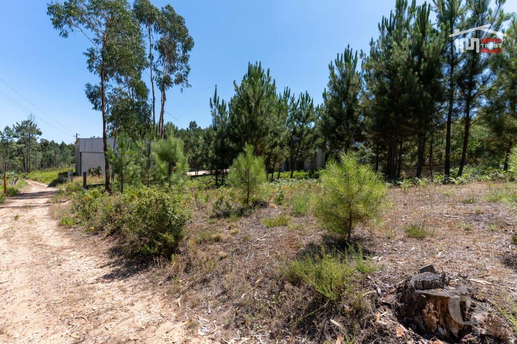 Terrenos Ourém - Fotos para Excelente Terreno com 1560 M2 com possibilidade de construção