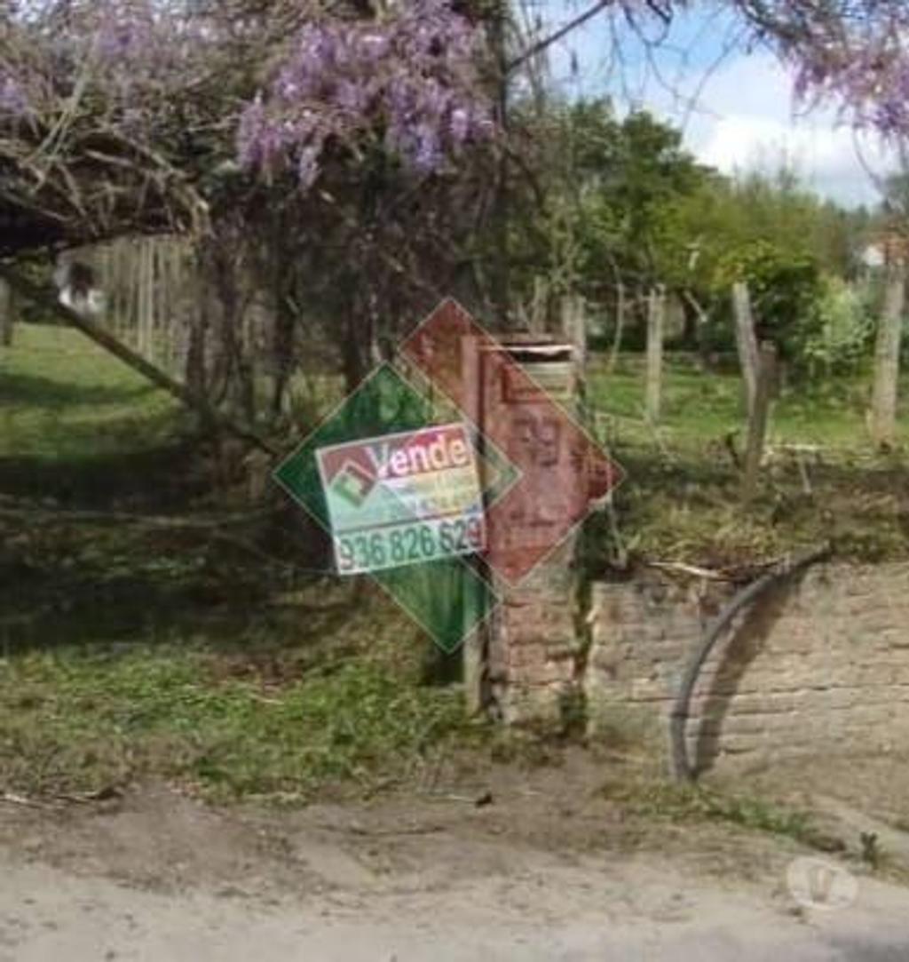 Apartamentos a venda Ponte de Sor - Fotos para Propriedade rústica, para venda, Ponte de Sor - Ponte de Sor,