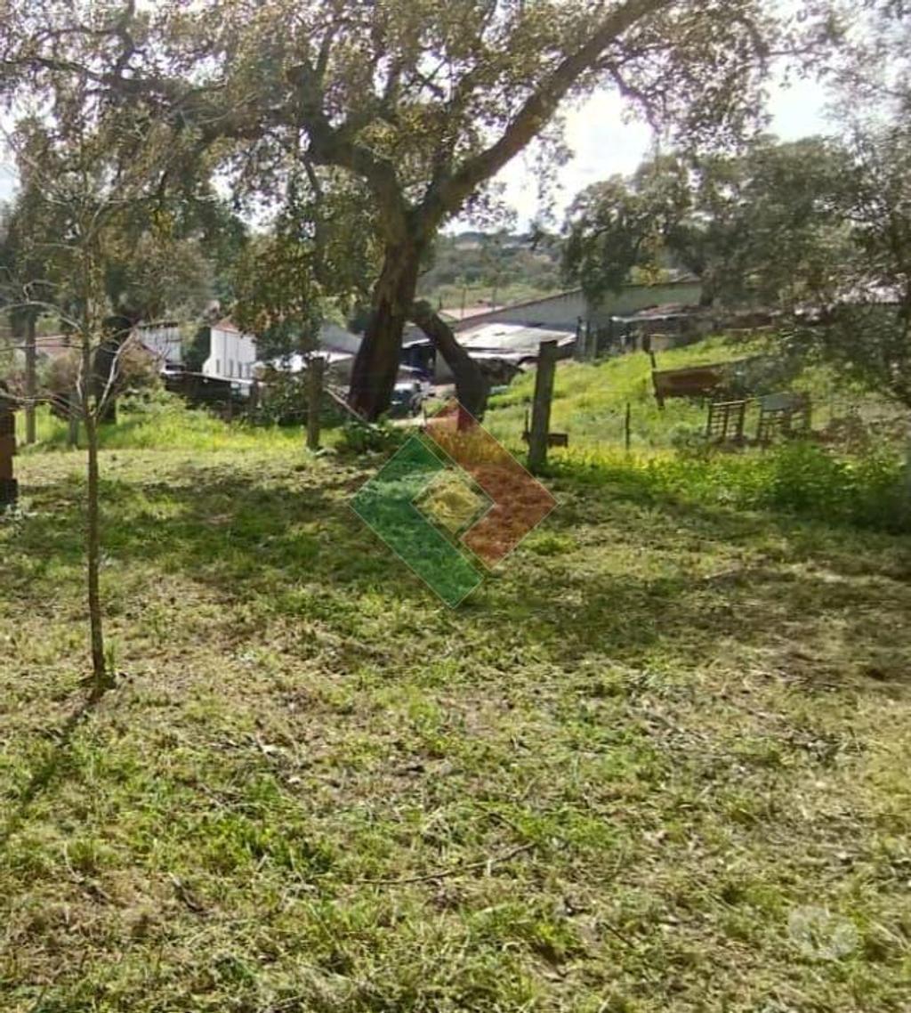 Apartamentos a venda Ponte de Sor - Fotos para Propriedade rústica, para venda, Ponte de Sor - Ponte de Sor,