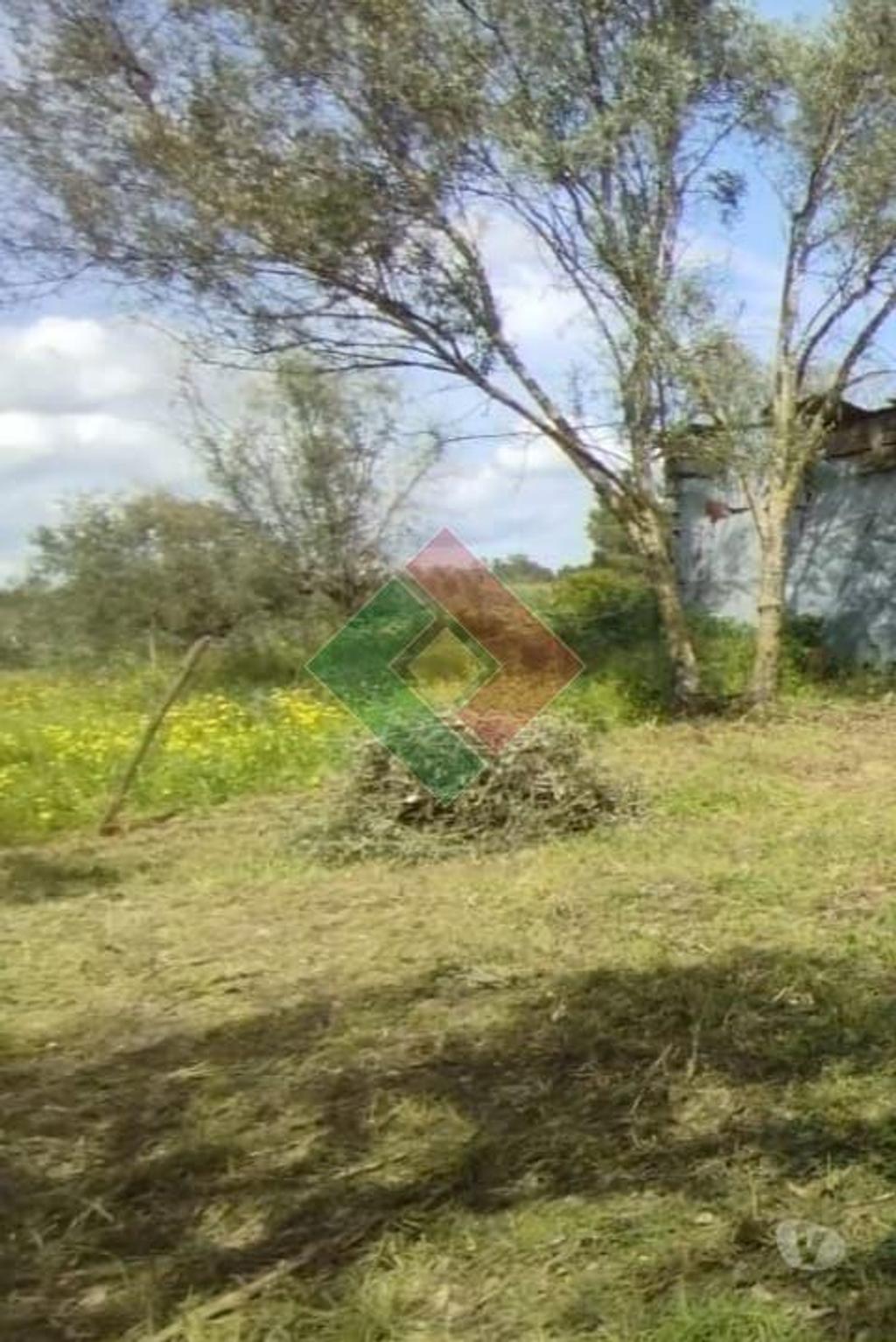 Apartamentos a venda Ponte de Sor - Fotos para Propriedade rústica, para venda, Ponte de Sor - Ponte de Sor,