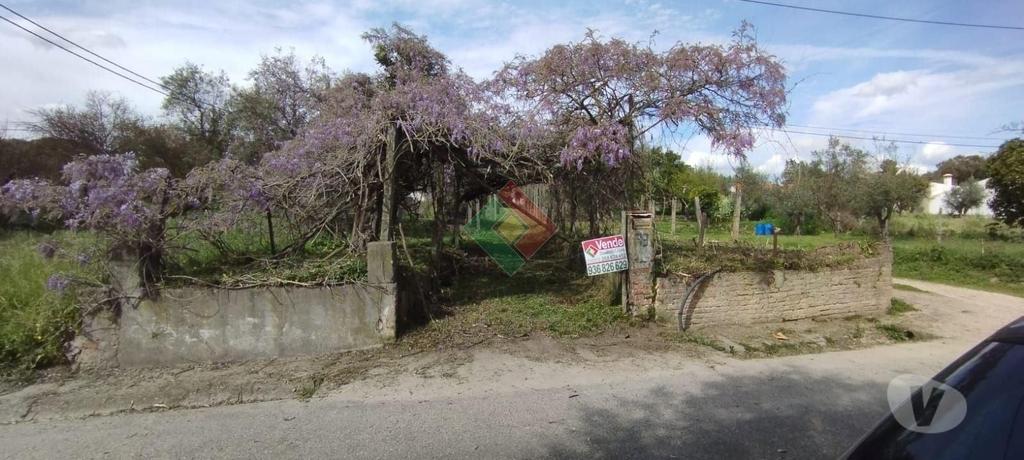 Apartamentos a venda Ponte de Sor - Fotos para Propriedade rústica, para venda, Ponte de Sor - Ponte de Sor,