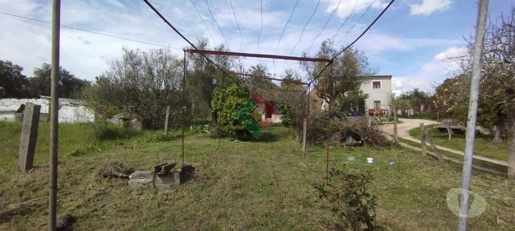 Apartamentos a venda Ponte de Sor - Fotos para Propriedade rústica, para venda, Ponte de Sor - Ponte de Sor,