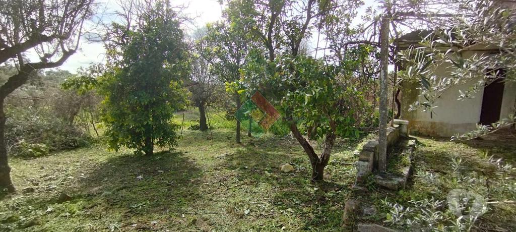 Apartamentos a venda Ponte de Sor - Fotos para Propriedade rústica, para venda, Ponte de Sor - Ponte de Sor,