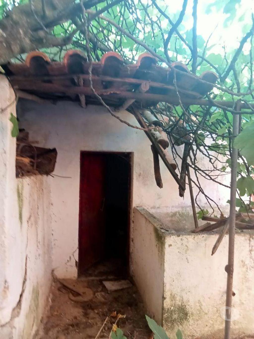 Apartamentos a venda Ponte de Sor - Fotos para Propriedade rústica, para venda, Ponte de Sor - Ponte de Sor,