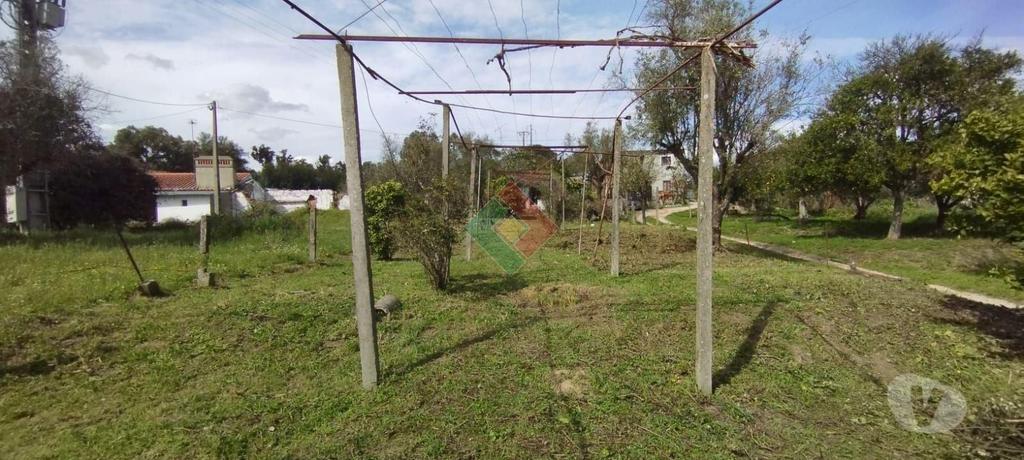 Apartamentos a venda Ponte de Sor - Fotos para Propriedade rústica, para venda, Ponte de Sor - Ponte de Sor,