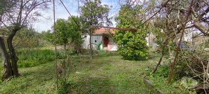 Casas a venda - Fotos para Propriedade rústica, para venda, Ponte de Sor - Ponte de Sor,