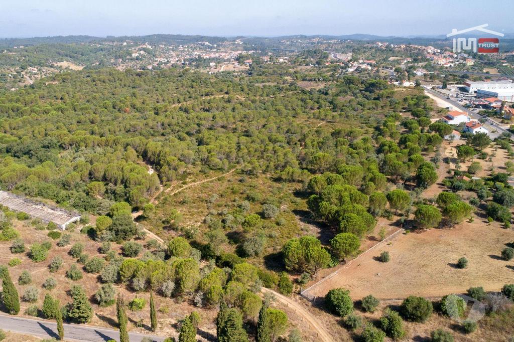 Terrenos Tomar - Fotos para Terreno rústico com área total de 18.920 m2 próximo cidade de