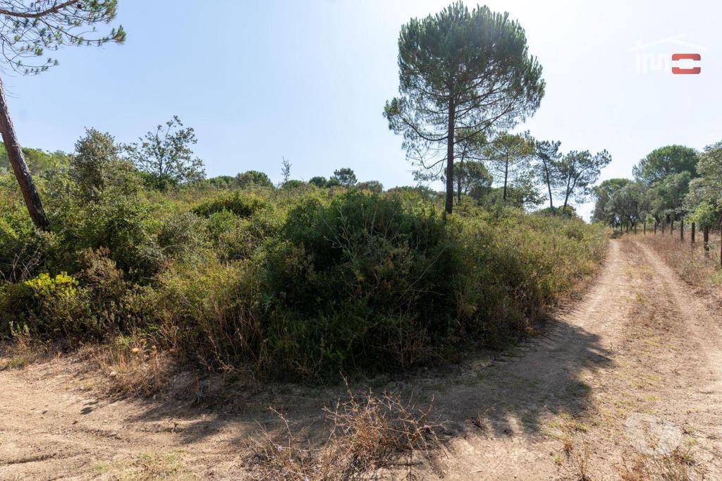 Terrenos Tomar - Fotos para Terreno rústico com área total de 18.920 m2 próximo cidade de