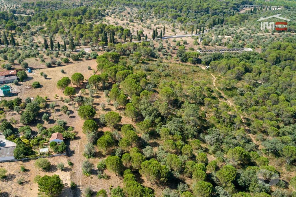 Terrenos Tomar - Fotos para Terreno rústico com área total de 18.920 m2 próximo cidade de