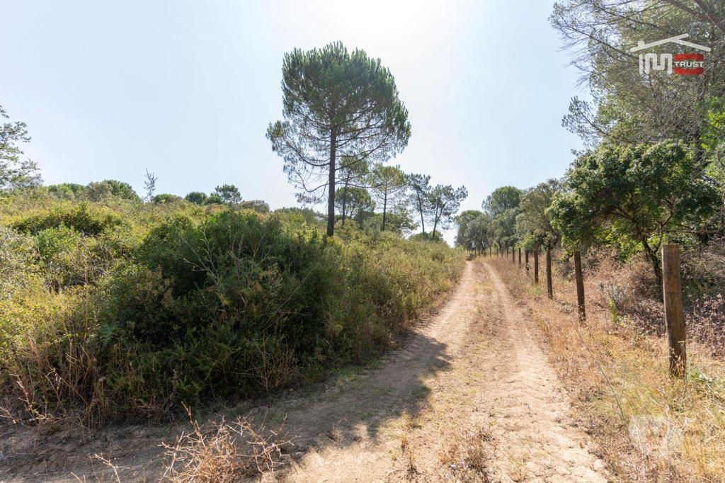 Terrenos Tomar - Fotos para Terreno rústico com área total de 18.920 m2 próximo cidade de