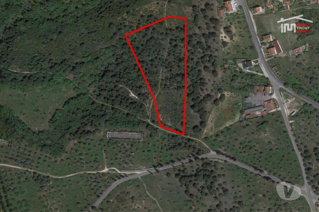 Terrenos Tomar - Fotos para Terreno rústico com área total de 18.920 m2 próximo cidade de