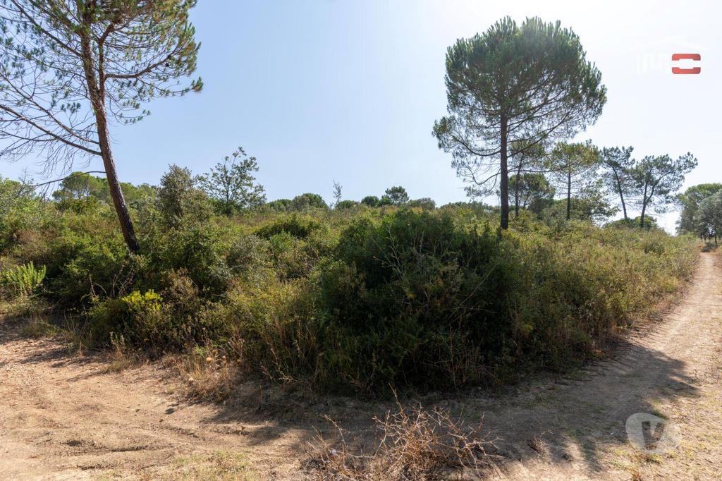 Terrenos Tomar - Fotos para Terreno rústico com área total de 18.920 m2 próximo cidade de