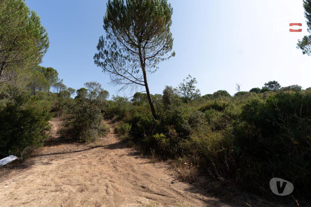 Terrenos Tomar - Fotos para Terreno rústico com área total de 18.920 m2 próximo cidade de