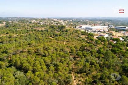 Terrenos - Fotos para Terreno rústico com área total de 18.920 m2 próximo cidade de