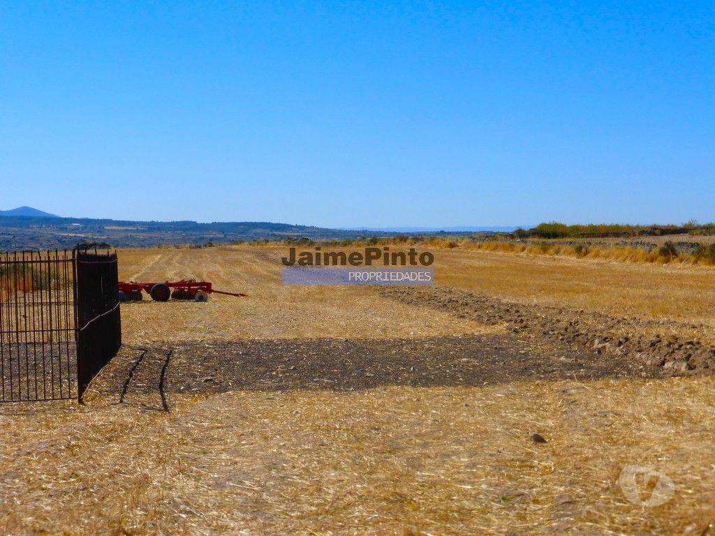 Terrenos Figueira de Castelo Rodrigo - Fotos para Propriedade 120.000m2 de terra excelente. Portugal, Figueira