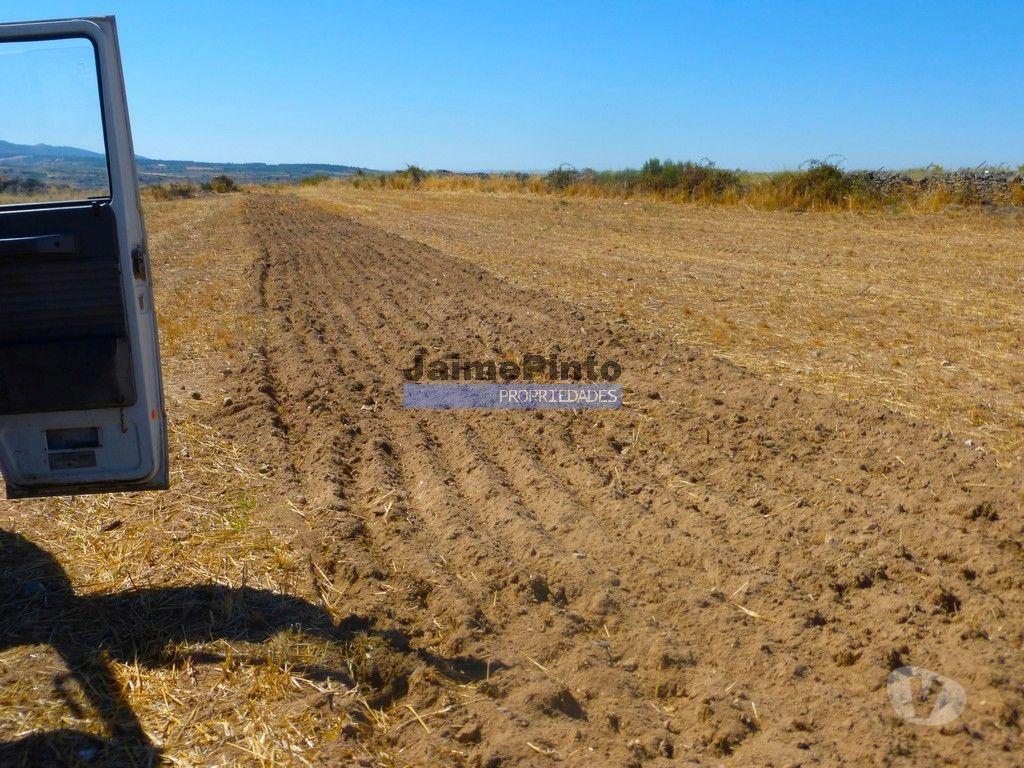 Terrenos Figueira de Castelo Rodrigo - Fotos para Propriedade 120.000m2 de terra excelente. Portugal, Figueira
