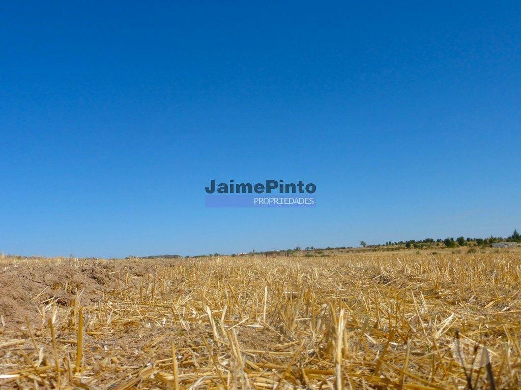 Terrenos Figueira de Castelo Rodrigo - Fotos para Propriedade 120.000m2 de terra excelente. Portugal, Figueira