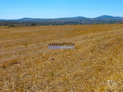 Terrenos a venda - Fotos para Propriedade 120.000m2 de terra excelente. Portugal, Figueira