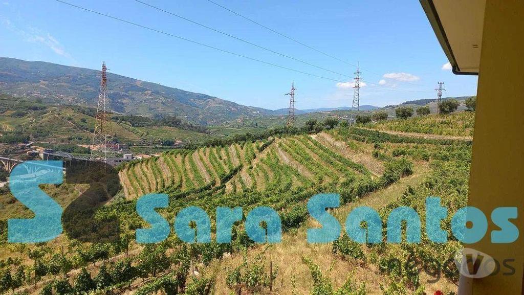 Terrenos Peso da Régua - Fotos para Quinta C Produção vinho vistas sobre Douro-Peso da Régua (SS0515)