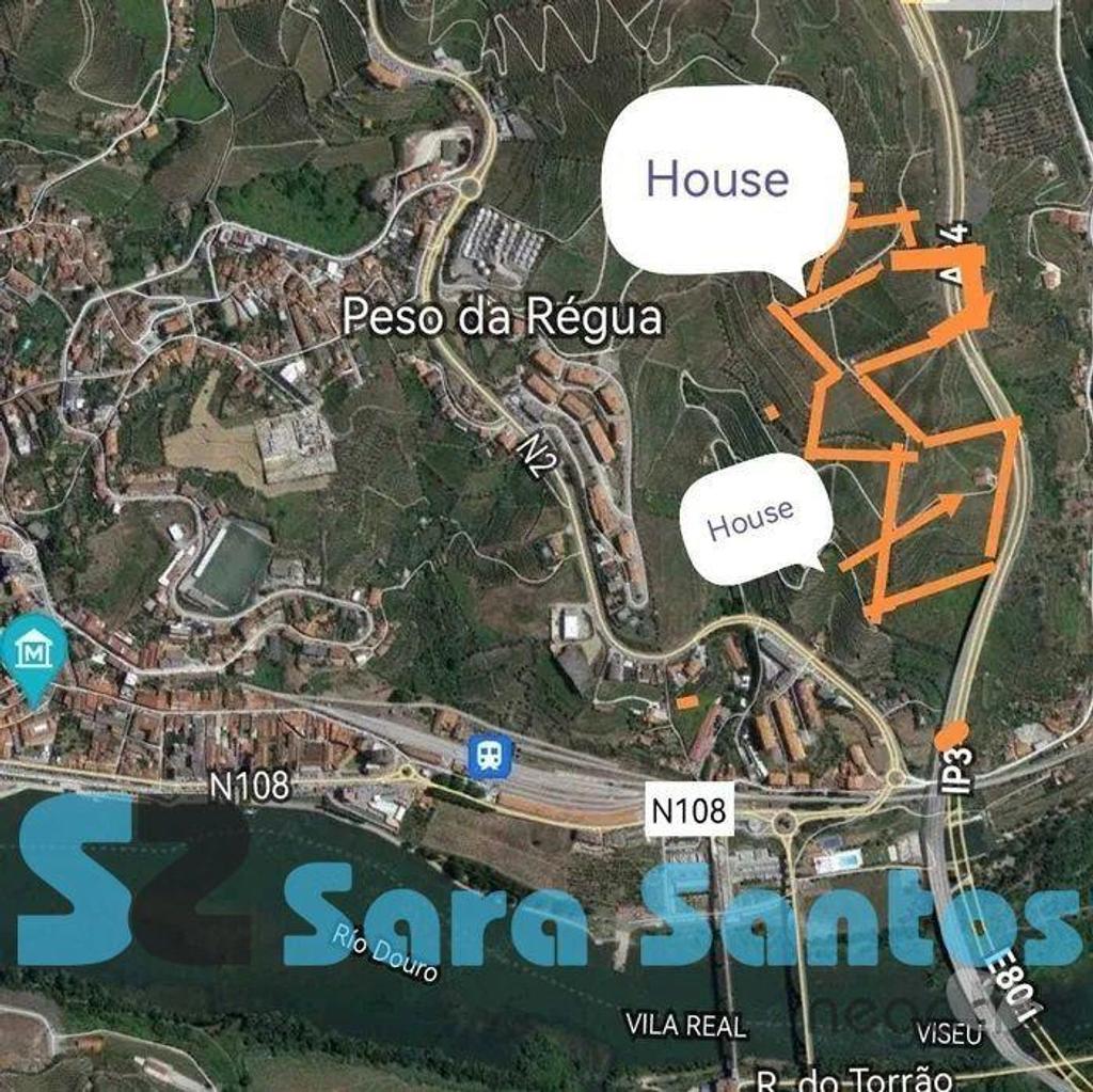 Terrenos Peso da Régua - Fotos para Quinta C Produção vinho vistas sobre Douro-Peso da Régua (SS0515)