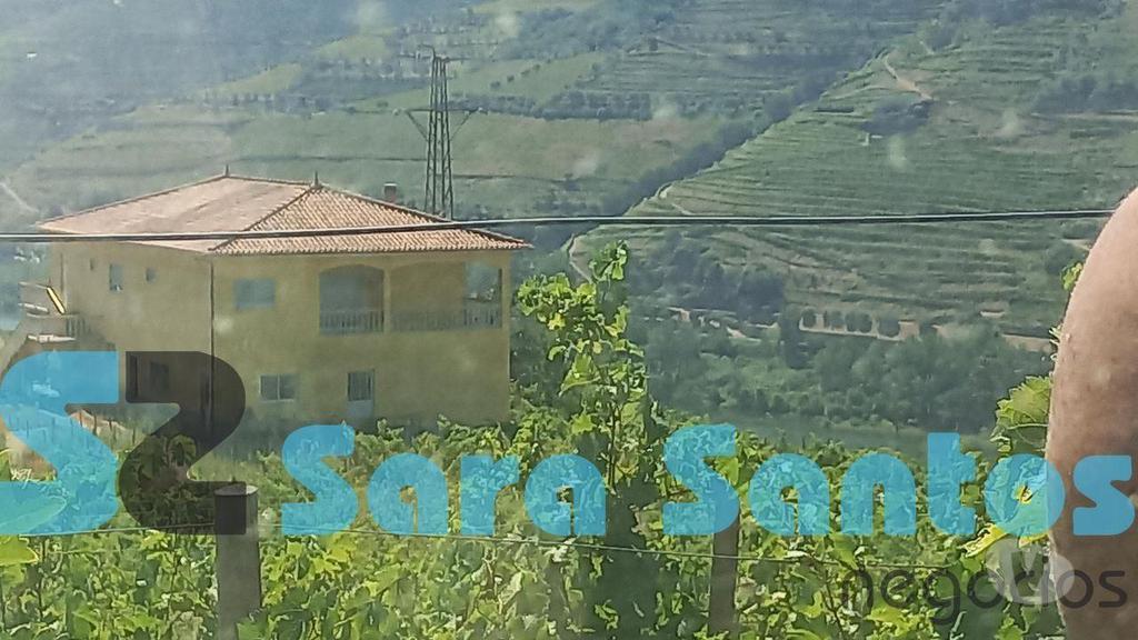 Terrenos Peso da Régua - Fotos para Quinta C Produção vinho vistas sobre Douro-Peso da Régua (SS0515)