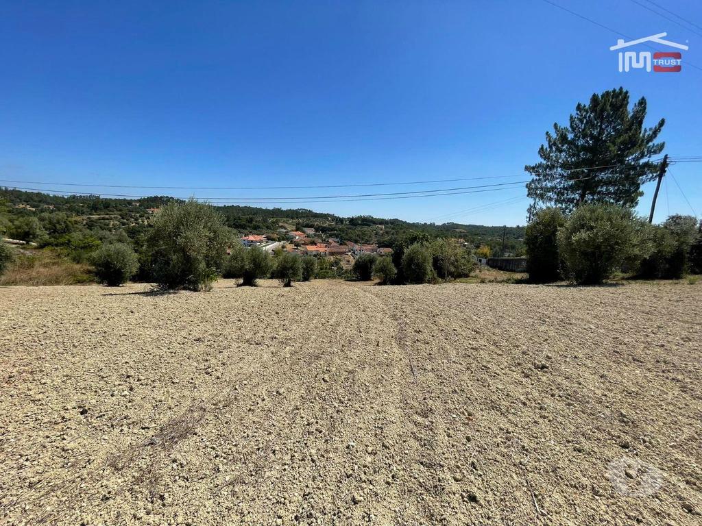 Comprar Loja Tomar - Fotos para Terreno Rustico com viabilidade de construção