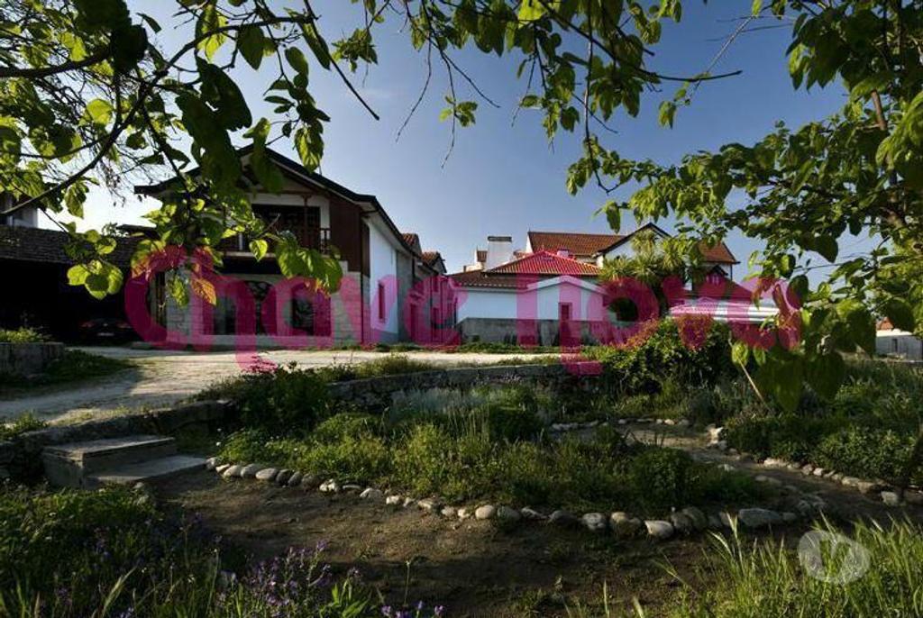 Terrenos São Pedro do Sul - Fotos para Sao-pedro-do-sul-Quinta do Pendão - Viseu (AR 01055)