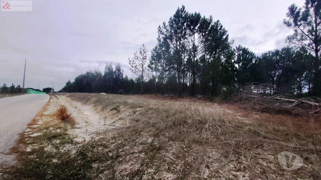 Terrenos Montijo - Fotos para Terreno c 9,6 ha, bons acessos, Stº Isidro de Pegões (PN 23 280)