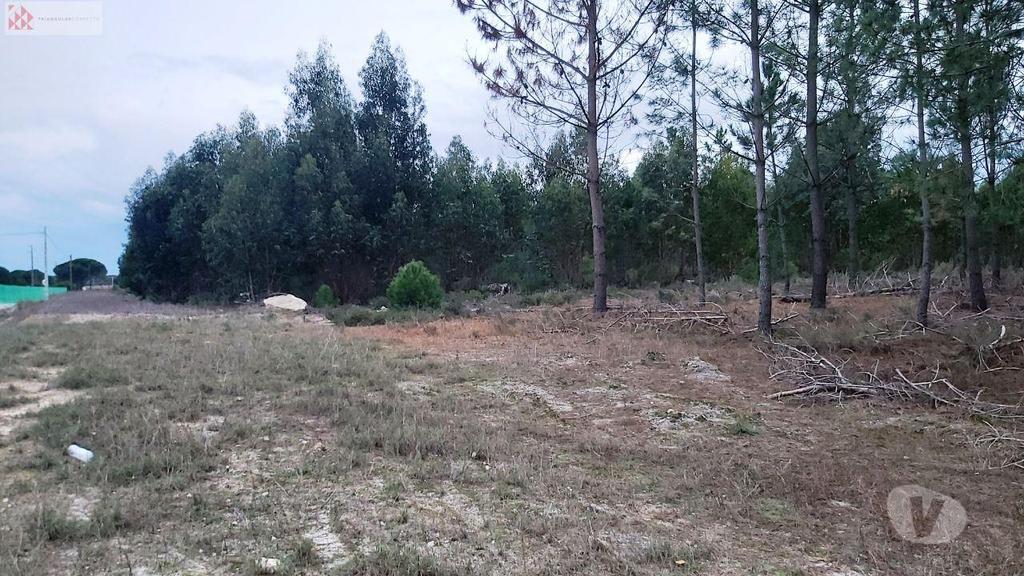 Terrenos Montijo - Fotos para Terreno c 9,6 ha, bons acessos, Stº Isidro de Pegões (PN 23 280)